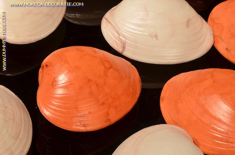 Muscheln, 12 Stück - Fischattrappe