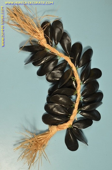 Muscheln, Schnur - Länge: 50 cm - Fischattrappe