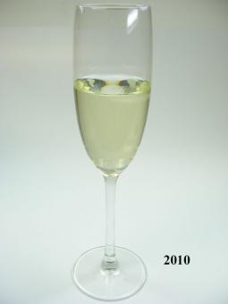 Sekt - Champagner (echtes Glas) 5,5x22/5 cm Attrappe