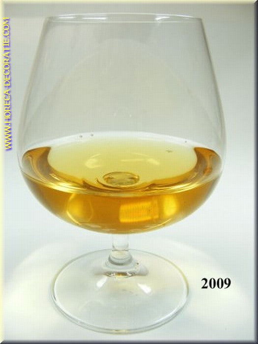 Cognac (Echtglas) 8x11 cm Attrappe