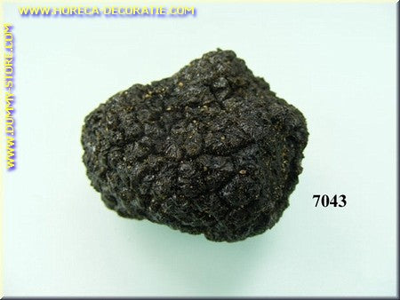 Kleiner schwarzer Trüffel 3x4 cm - Fake - Attrappe