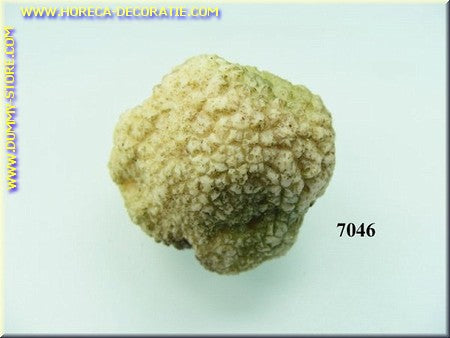 Kleiner weißer Trüffel – 3 x 4 cm großer gefälschter Schnuller