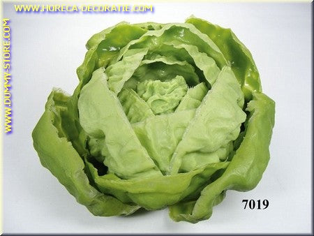 Salatkopf - Dummy