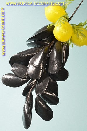 Muscheln, Bündel - Länge: 35 cm - Fischattrappe
