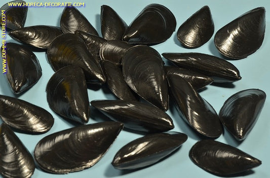 Muscheln, 24 Stück - Fischattrappe