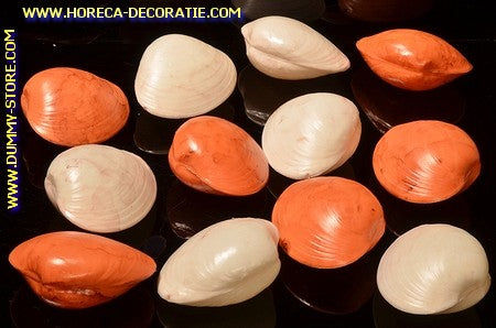 Muscheln, 12 Stück - Fischattrappe