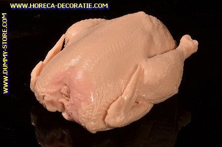 Hähnchen, roh – 23x17x10 cm DUMMY
